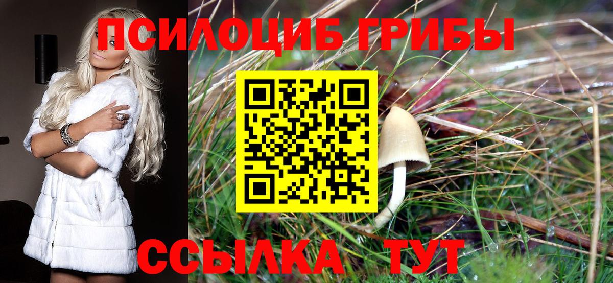 Галлюциногенные грибы GOLDEN TEACHER Корсаков