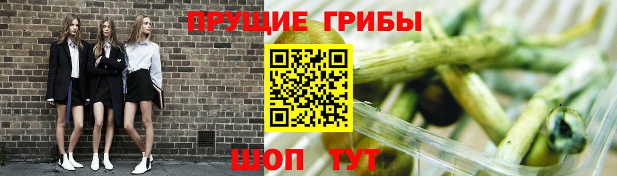 Галлюциногенные грибы MAGIC MUSHROOMS  Вход с VPN  Псилоцибиновые грибы MAGIC MUSHROOMS  Корсаков 